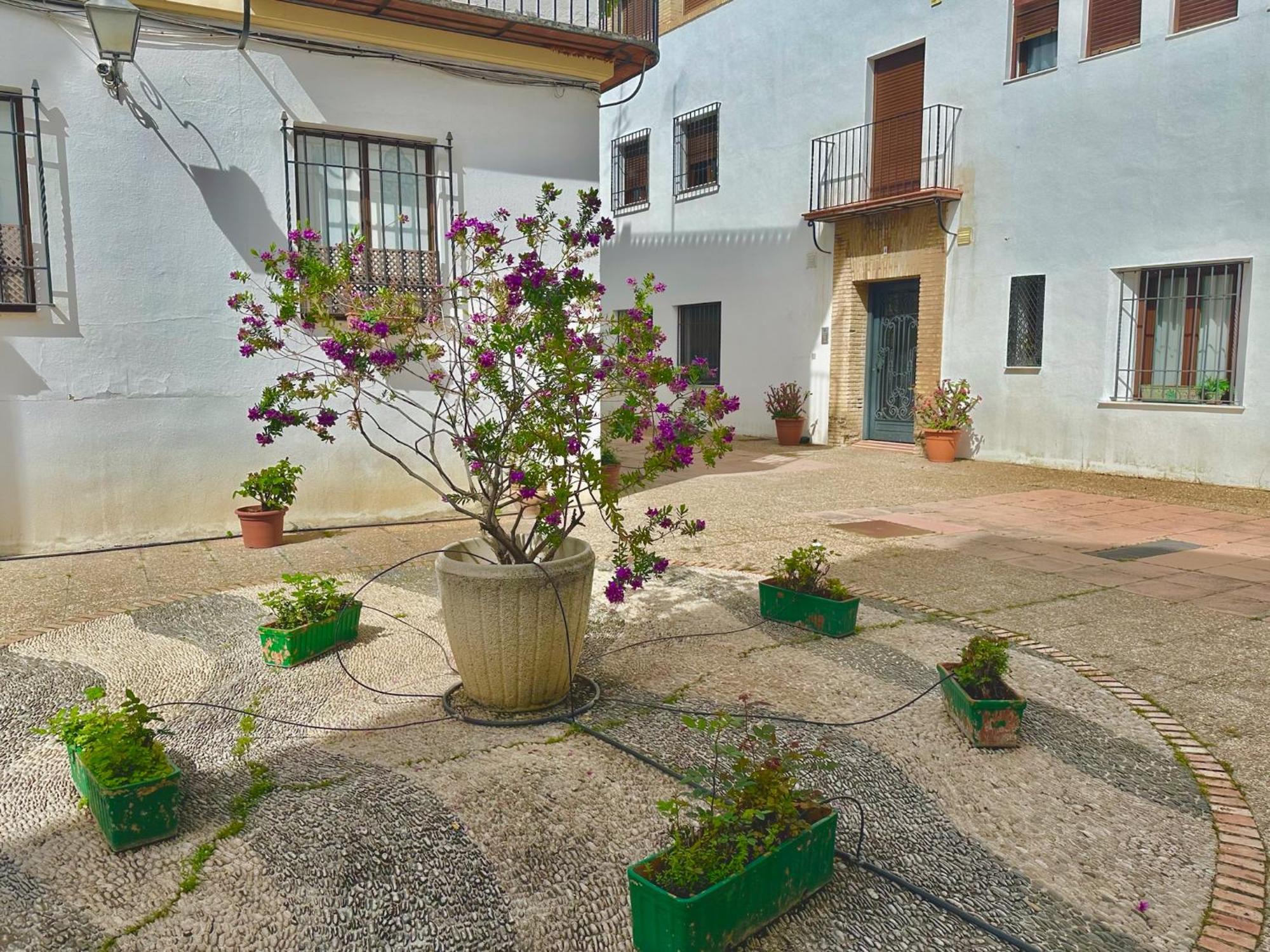 Orive House Apartment Cordoba Exterior photo